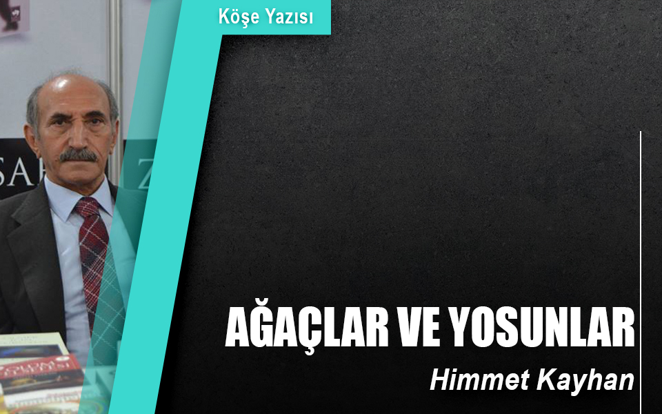 173524Himmet kayhan.jpg